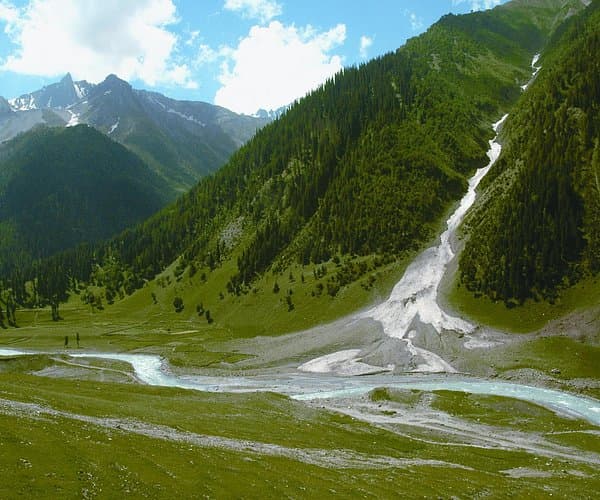 Kashmir Paradises